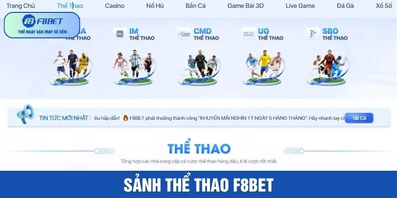 Thể thao với hơn 100 sản phẩm cược từ nhiều nhà cung cấp hàng đầu